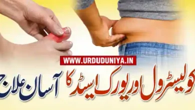 cholesterol uric acid treatment