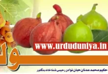 gular fruit health benefits