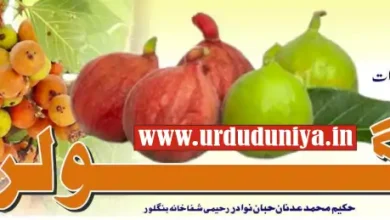 gular fruit health benefits