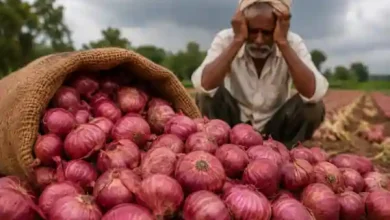 maharashtra onion farmers protest 2026