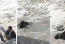 mother saves child river viral video