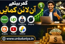 online earning freelancing guide