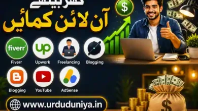 online earning freelancing guide