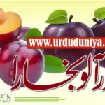 plum health benefits urdu
