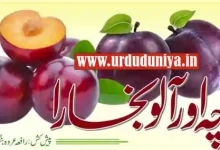plum health benefits urdu