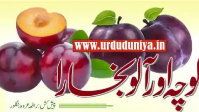 plum health benefits urdu