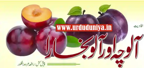 plum health benefits urdu