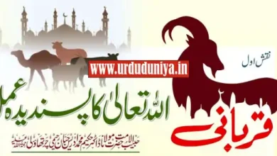 qurbani sunnat e ibrahimi eid ul adha islamic article