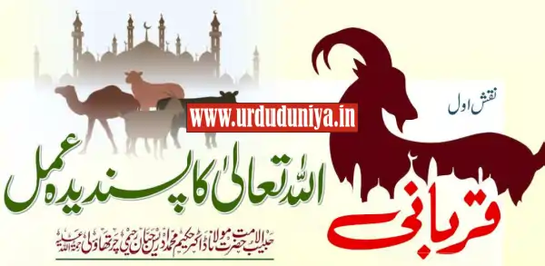 qurbani sunnat e ibrahimi eid ul adha islamic article