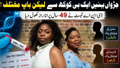 twin sisters dna test uk