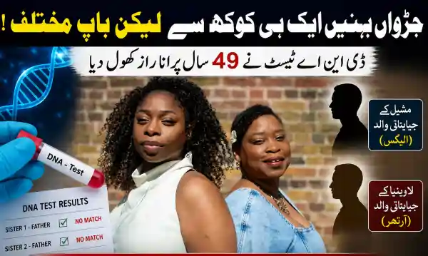 twin sisters dna test uk