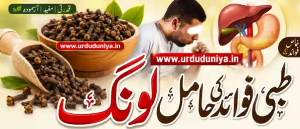 cloves health benefits