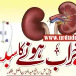 holding urine kidney bladder health