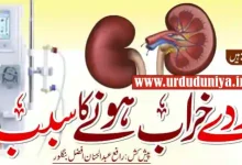 holding urine kidney bladder health