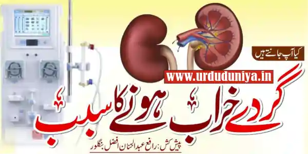 holding urine kidney bladder health