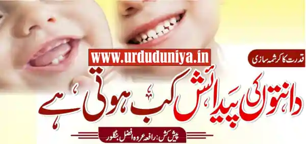 human teeth development science