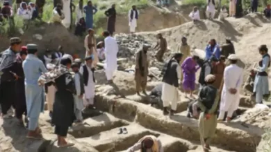 pakistan afghanistan border strikes
