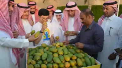 india consulate jeddah yoga mango festival 2026