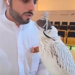 abu dhabi super white falcon auction