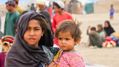 afghanistan one kidney village kidney trade