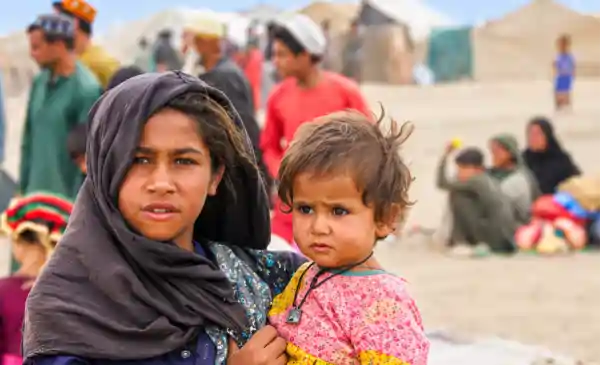 afghanistan one kidney village kidney trade
