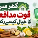 ghar mein quwwat e mudafiat ka khayal kaise rakhein