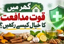ghar mein quwwat e mudafiat ka khayal kaise rakhein