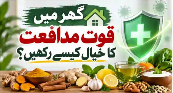 ghar mein quwwat e mudafiat ka khayal kaise rakhein