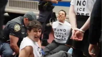 new york ice operation rotten apple immigration arrests